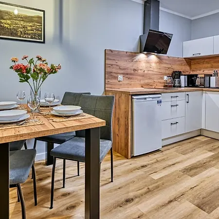 Lägenhet Royal Aparts Centrum - Kilinskiego 17a Przy Wyciagu, Blisko Szlakow