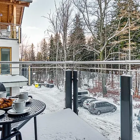 Royal Aparts Centrum - Kilinskiego 17a Przy Wyciagu, Blisko Szlakow Appartement