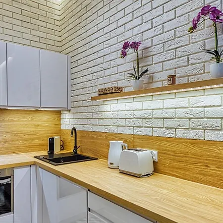 Royal Aparts Centrum - Kilinskiego 17a Przy Wyciagu, Blisko Szlakow