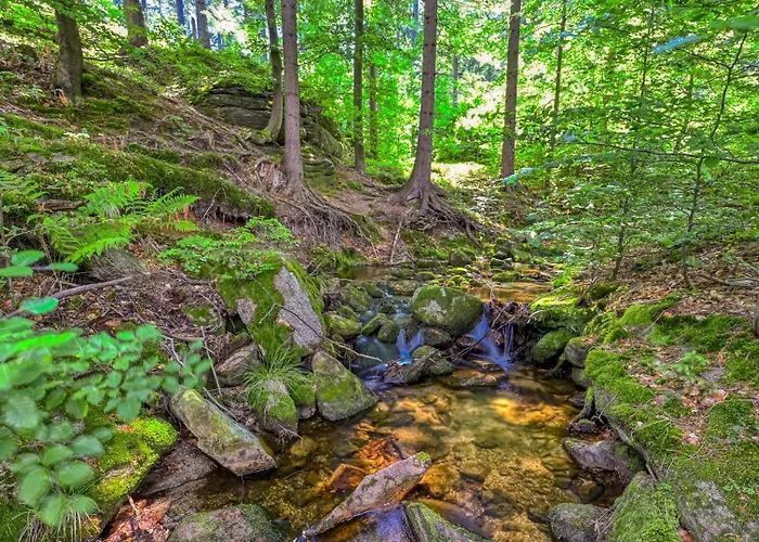 Royal Aparts Centrum - Kilińskiego 17a Przy Wyciągu, Blisko Szlaków Szklarska Poręba