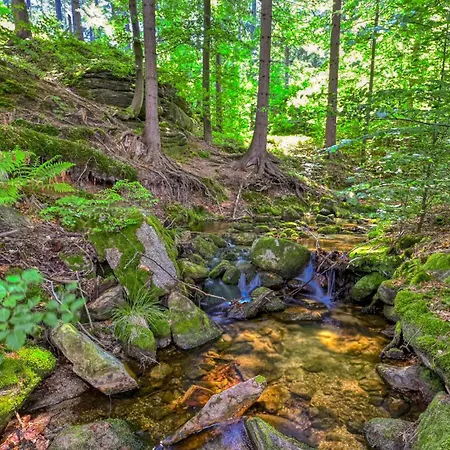 Royal Aparts Centrum - Kilinskiego 17a Przy Wyciagu, Blisko Szlakow Szklarska Poręba