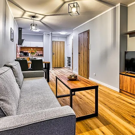 Royal Aparts Centrum - Kilinskiego 17a Przy Wyciagu, Blisko Szlakow Apartment