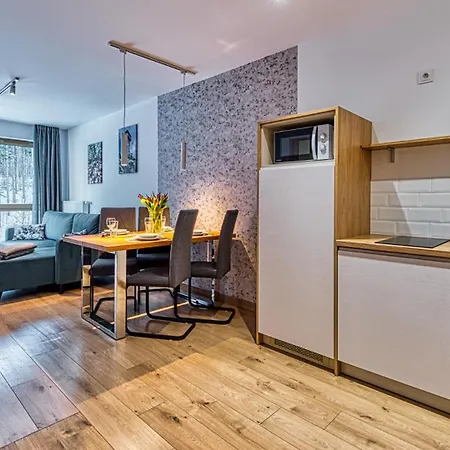 Royal Aparts Centrum - Kilinskiego 17a Przy Wyciagu, Blisko Szlakow