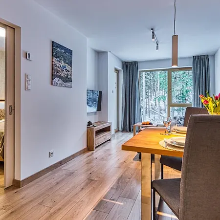 Apartment Royal Aparts Centrum - Kilinskiego 17a Przy Wyciagu, Blisko Szlakow