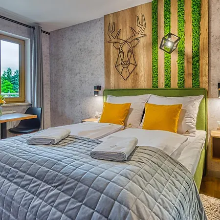Royal Aparts Centrum - Kilinskiego 17a Przy Wyciagu, Blisko Szlakow Apartment