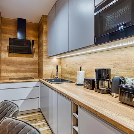 Royal Aparts Centrum - Kilinskiego 17a Przy Wyciagu, Blisko Szlakow Apartment *