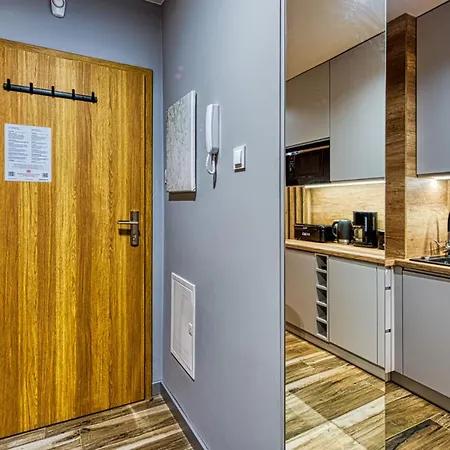 Royal Aparts Centrum - Kilinskiego 17a Przy Wyciagu, Blisko Szlakow Apartment