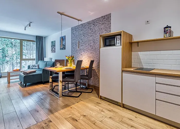 Royal Aparts Centrum - Kilińskiego 17a Przy Wyciągu, Blisko Szlaków